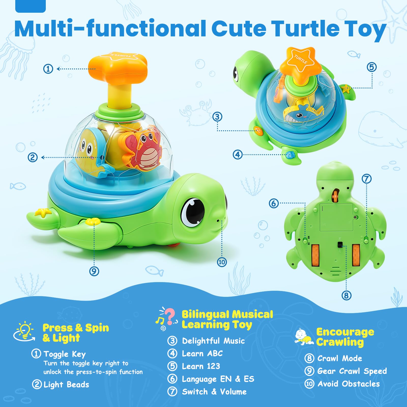 Jyusmile turtle shell transparent view shows ocean friends during play