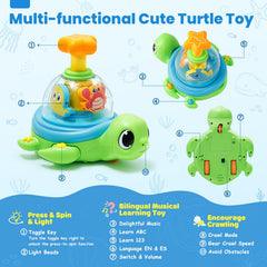 Jyusmile turtle shell transparent view shows ocean friends during play
