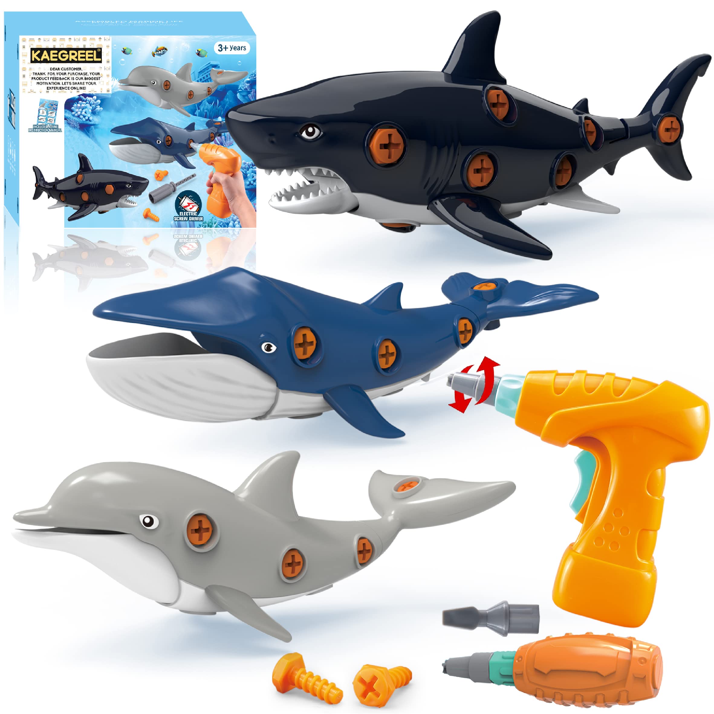 KAEGREEL take-apart shark toy boosts hands-on play and imagination