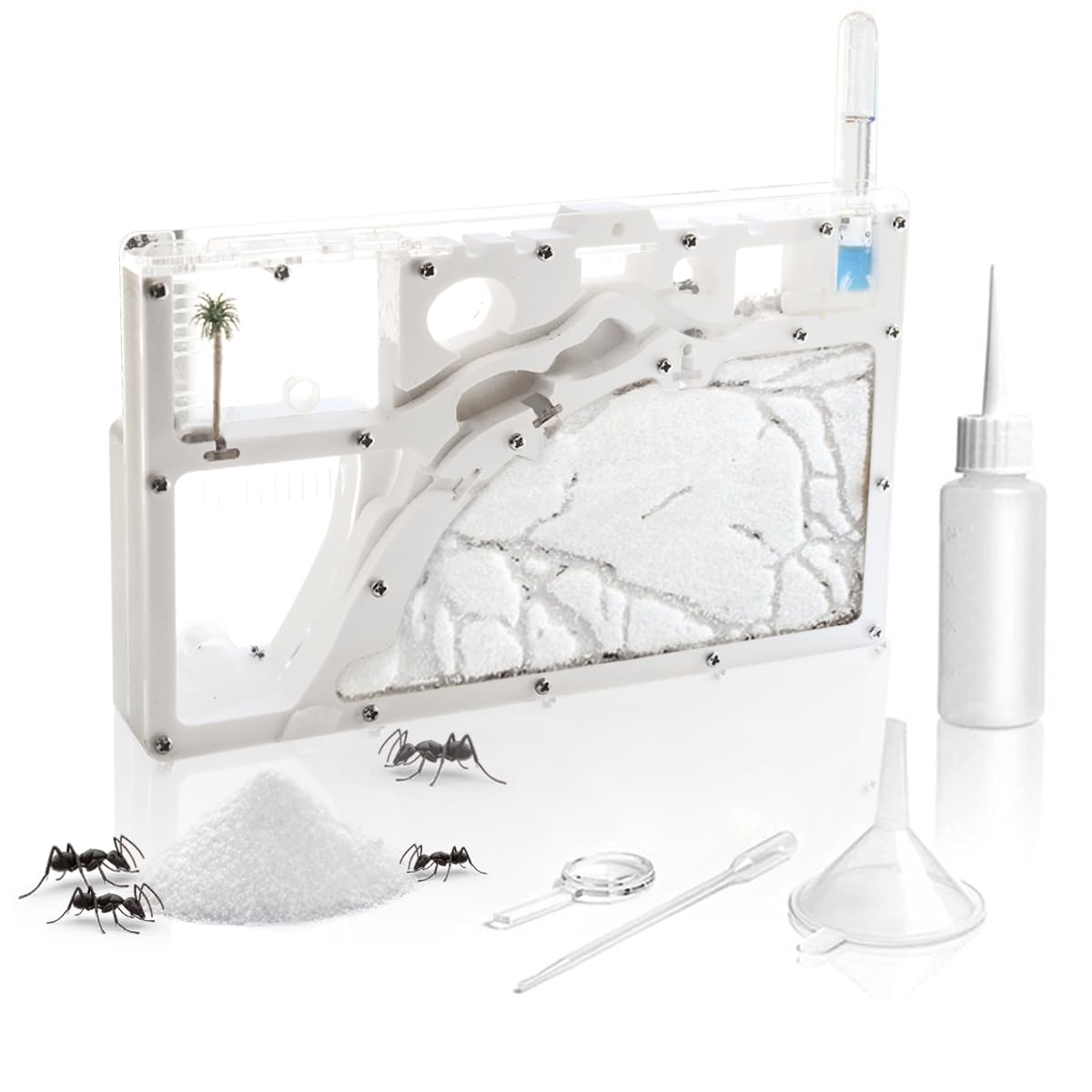 Kahopy Ant Farm Castle desk setup for classroom or home science corners.