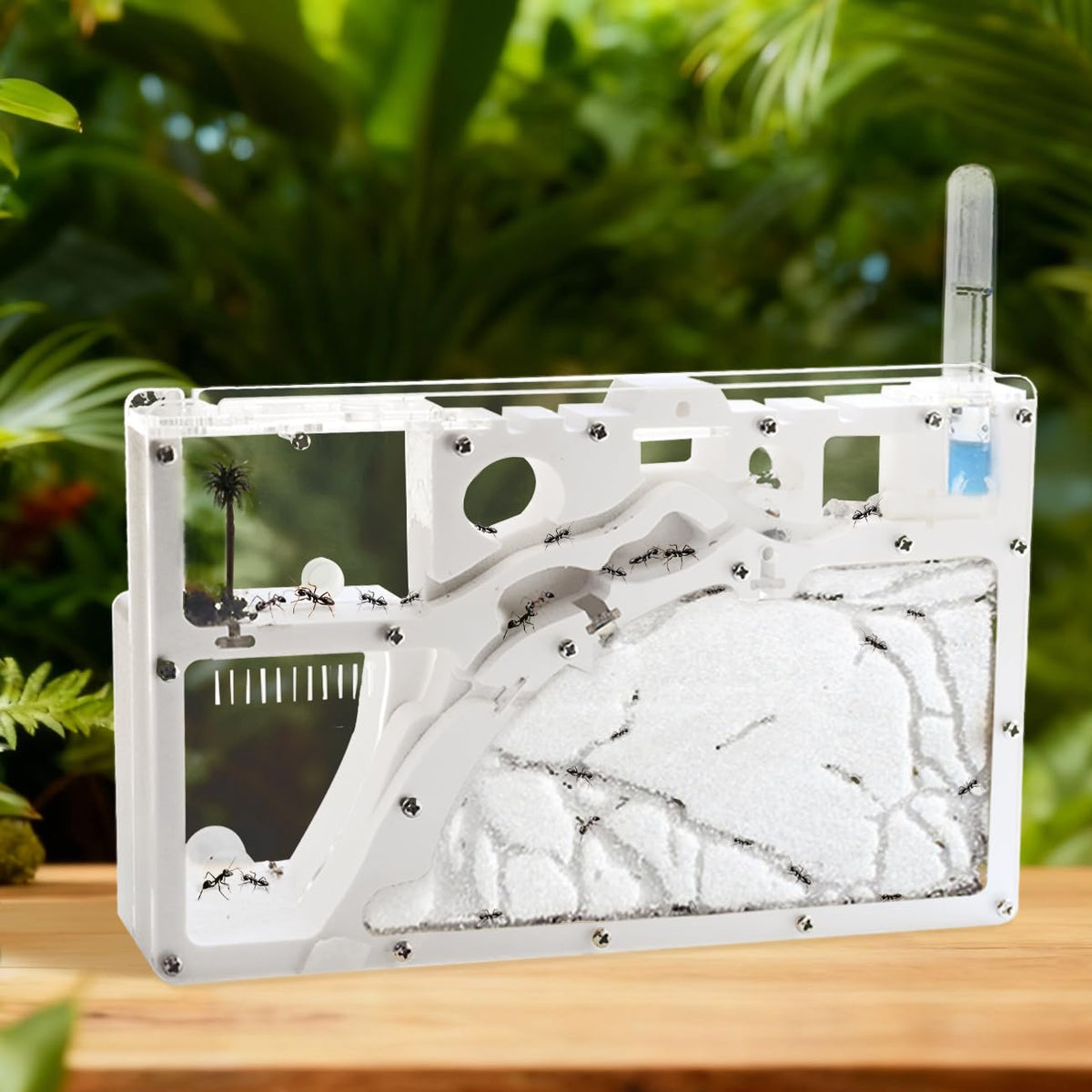 Kahopy Ant Farm Castle front view shows a sturdy, escape-resistant habitat for learning.