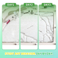 Kahopy Ant Farm Castle water tower feature enables easy hydration for observation.