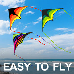 Kaiciuss Delta Kite Rainbow with vibrant, fade-resistant colors.