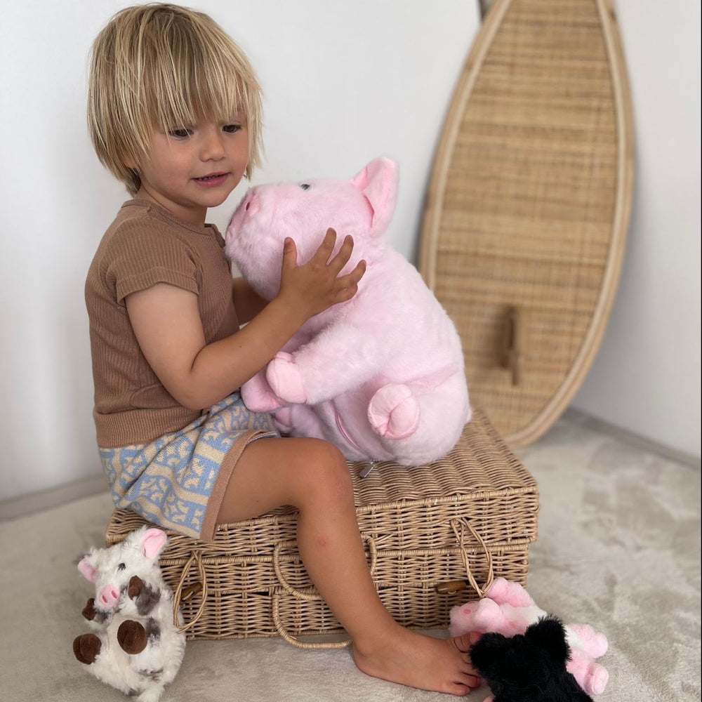 Karister kawaii pig plush with soft fur and friendly look