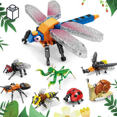 KAZI Ideas Insect Collection dragonfly model for classroom learning and display