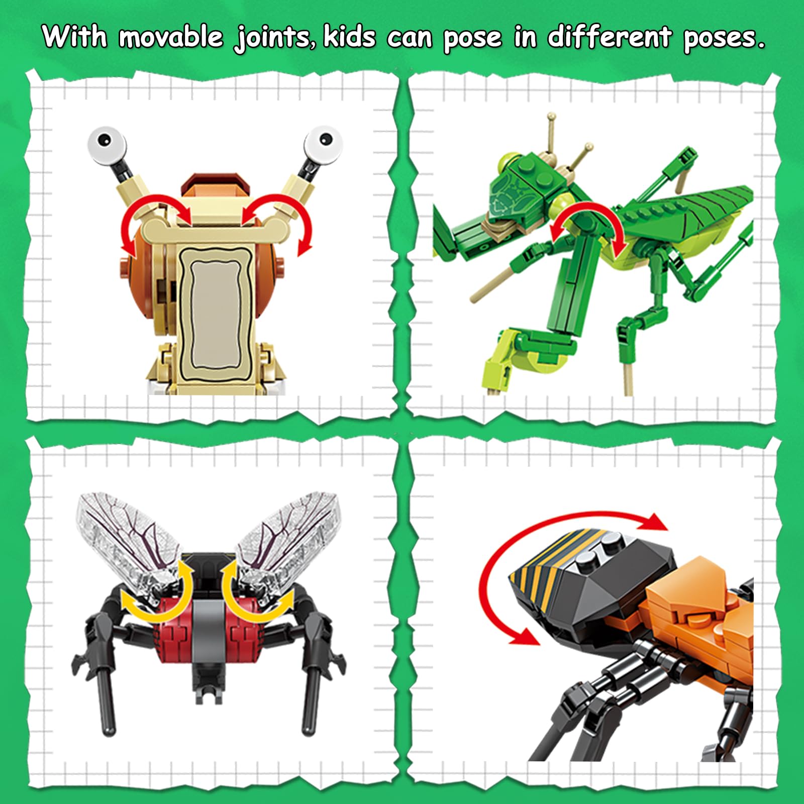 KAZI Ideas Insect Collection housefly model sparks curiosity about insect anatomy