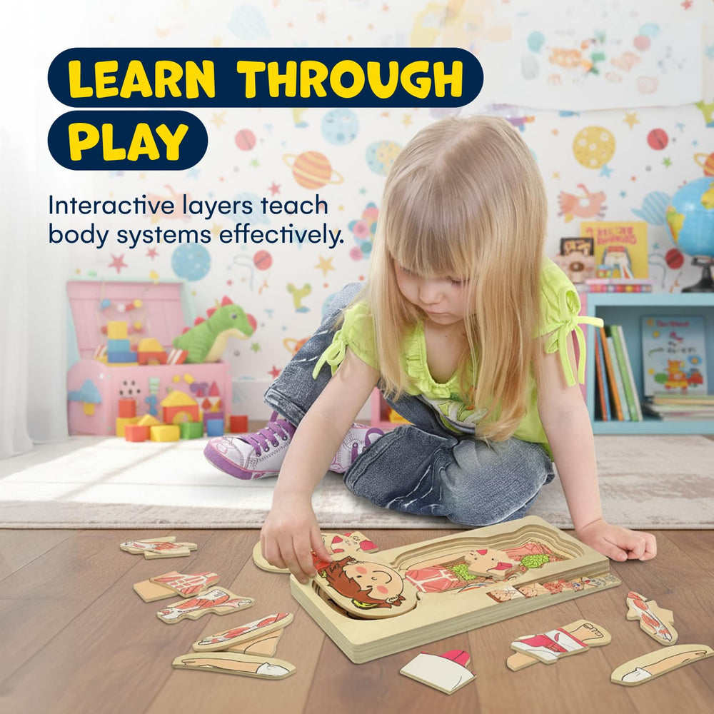 Kidzlane colorful body teaching tool engages curious learners during play.