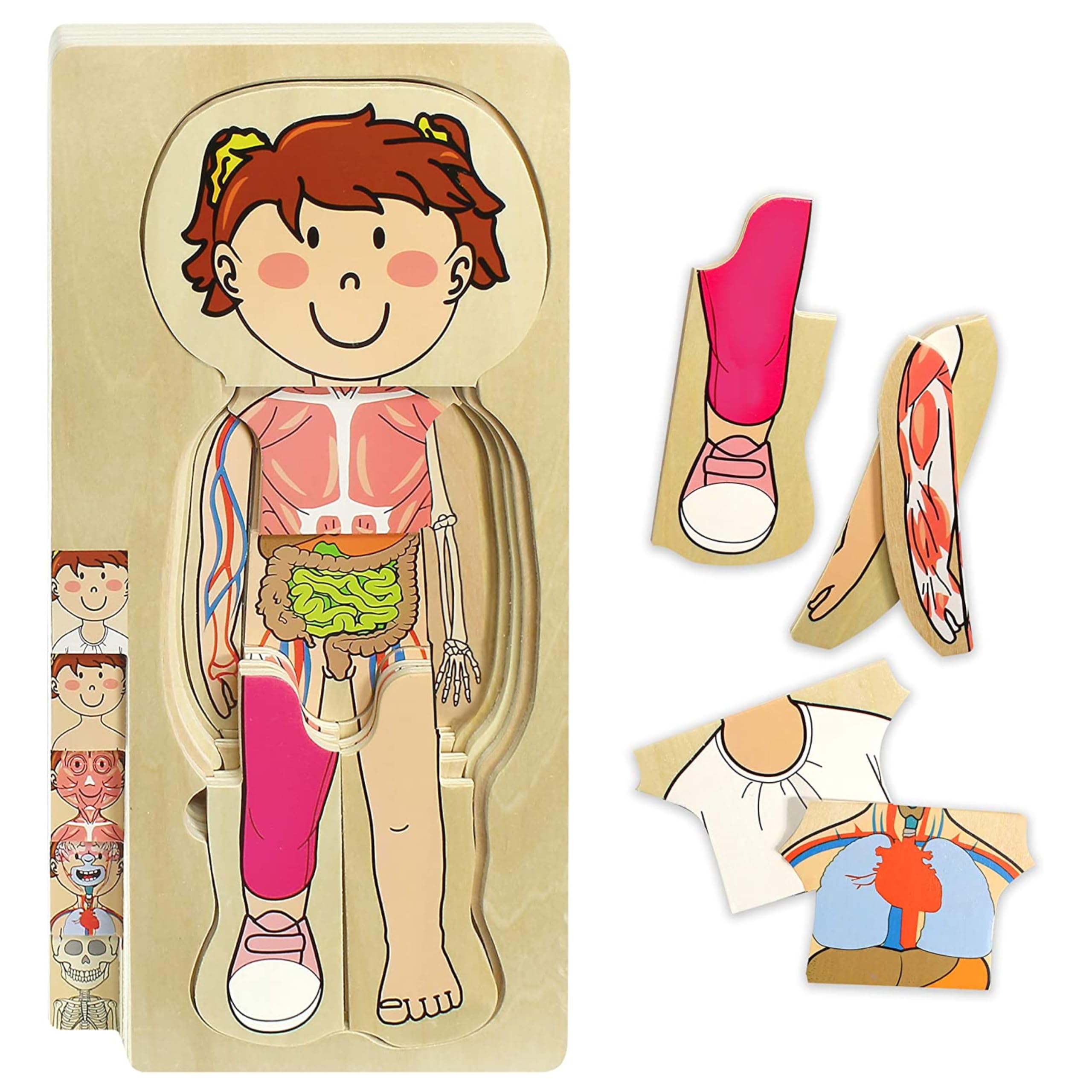 Kidzlane layered anatomy puzzle skeleton view for early science exploration.
