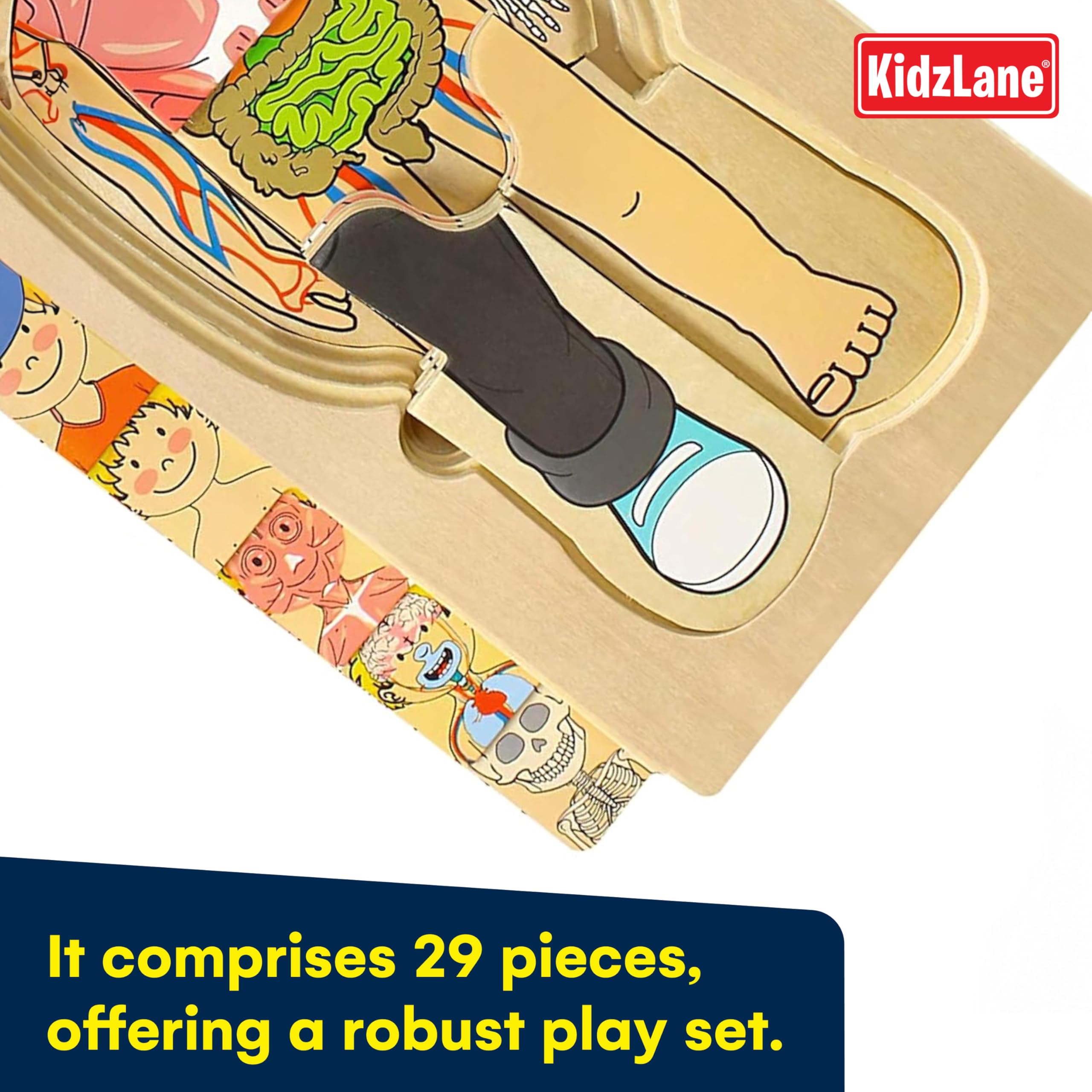 Kidzlane Boy Wooden My Body Puzzle digestive layer, gut system exploration for children