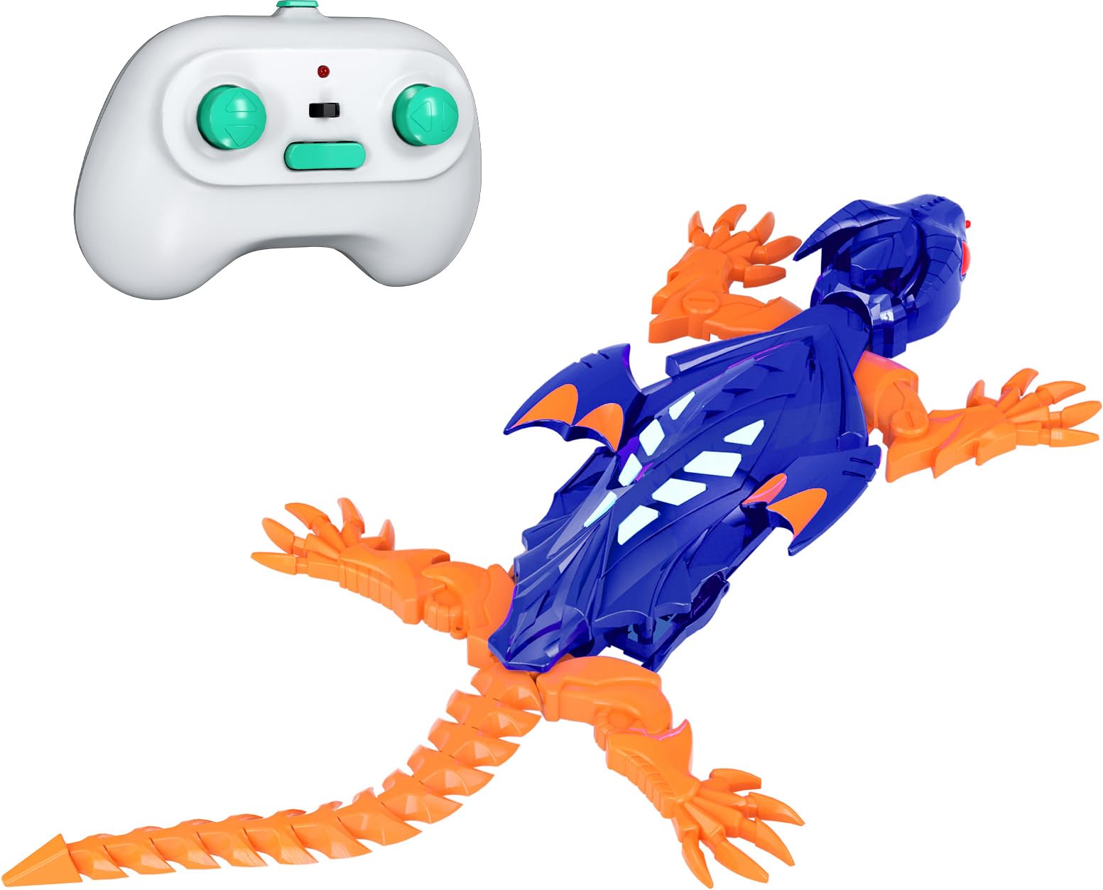 Kimdog wall crawler gecko front view ready for action