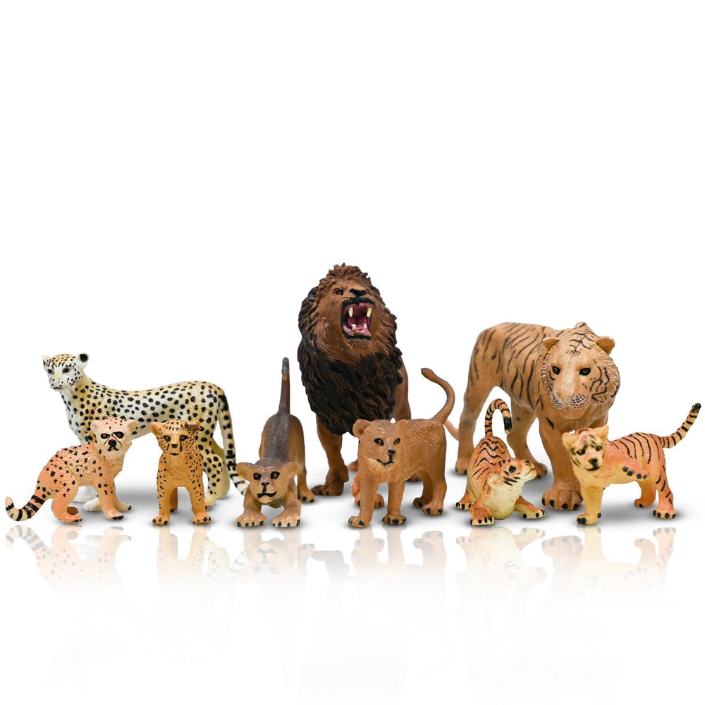 Kimicare colorful collection encourages sorting and creative setup