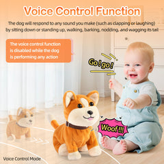 Kindenwinn safe BPA-free materials ensure durable play for kids