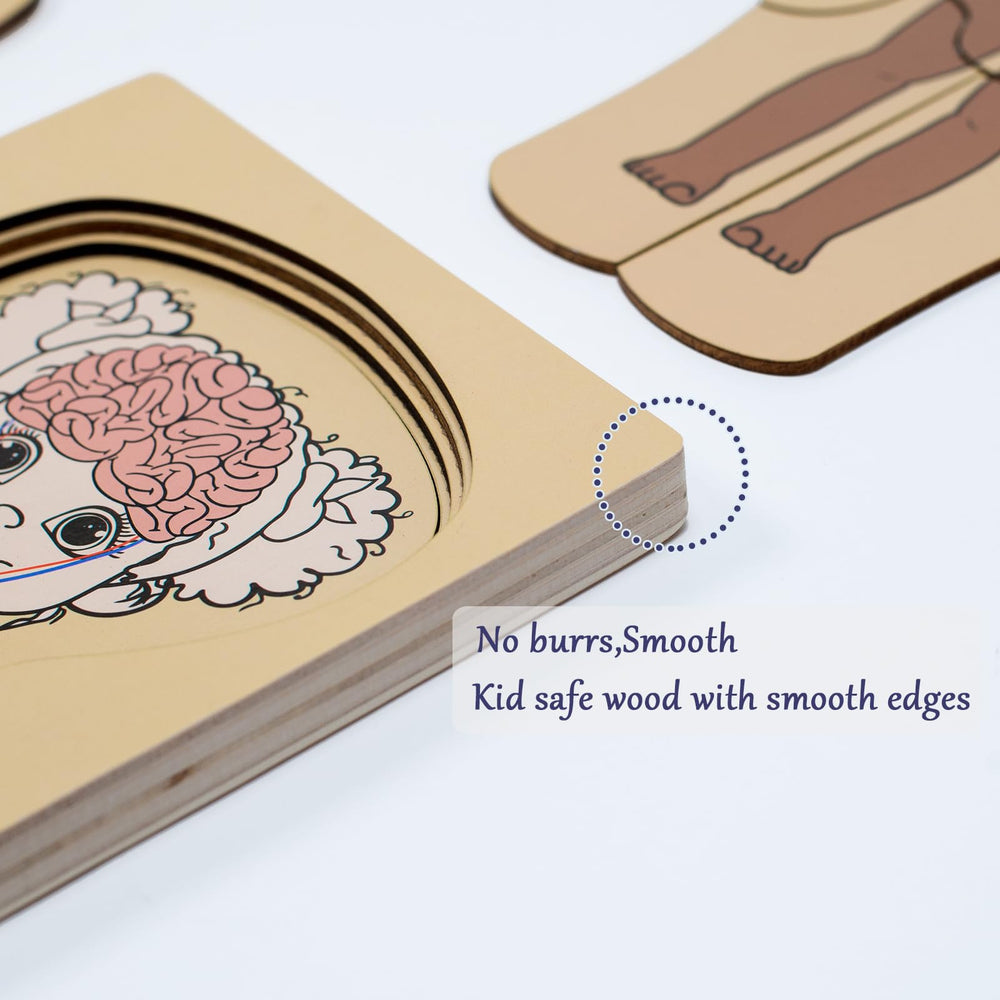 KINOKOSAY My Body Parts Puzzle skeleton layer supports understanding of body structure.