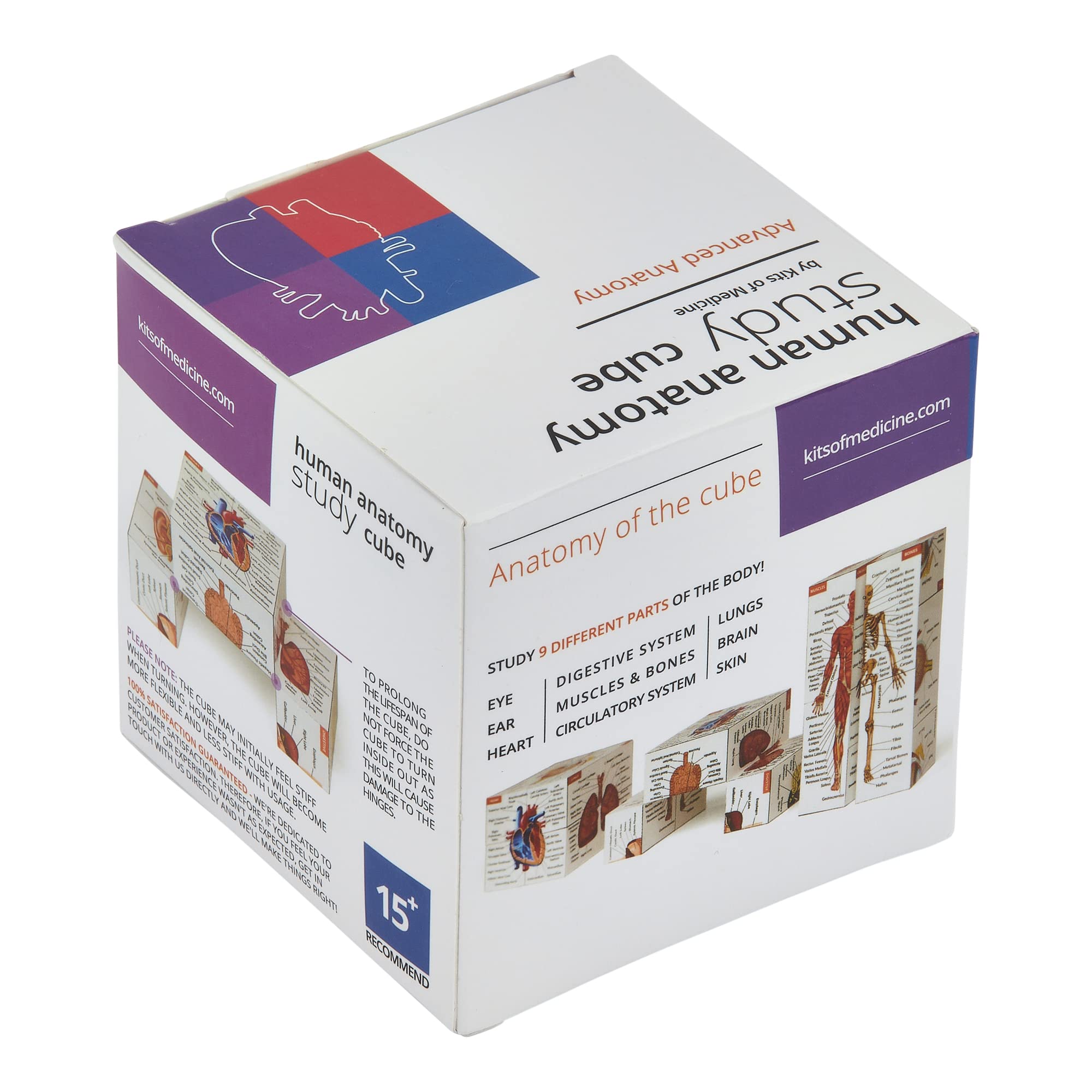 Kits of Medicine digestive system section on anatomy cube for compact review