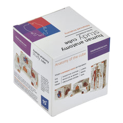 Kits of Medicine digestive system section on anatomy cube for compact review