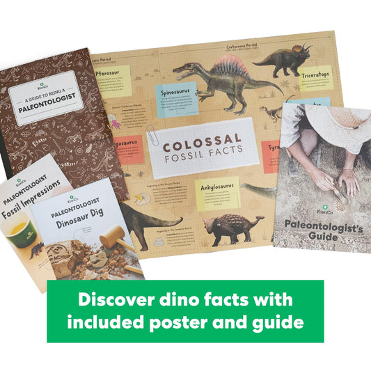 KiwiCo tool set image enables careful excavation and fossil discovery.