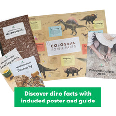 KiwiCo tool set image enables careful excavation and fossil discovery.