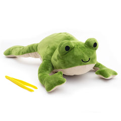 KiwiCo Froggie diagnosis card game sparks curiosity about symptoms and reasoning.