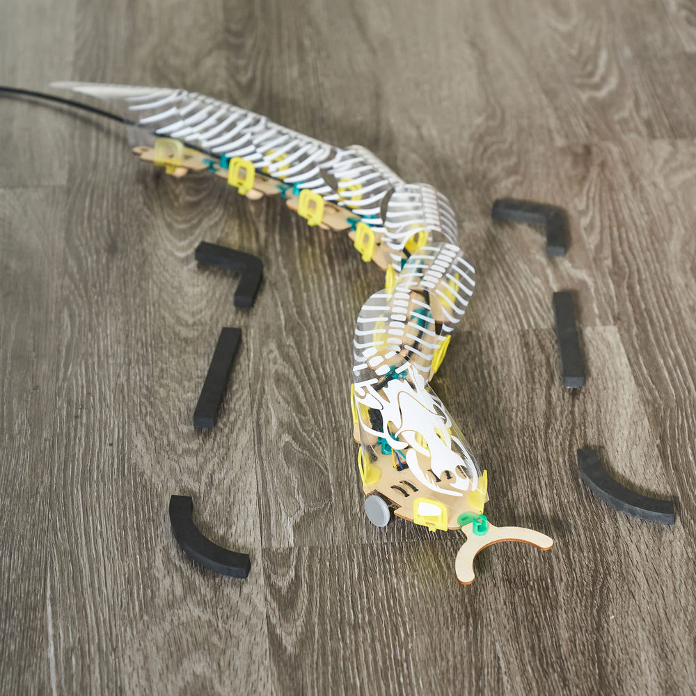KiwiCo explanation of how switches cause side-to-side motion in the snake.