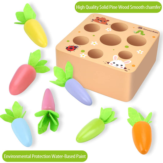 KMTJT Macron carrot harvest game holes close-up for color matching and cognitive play