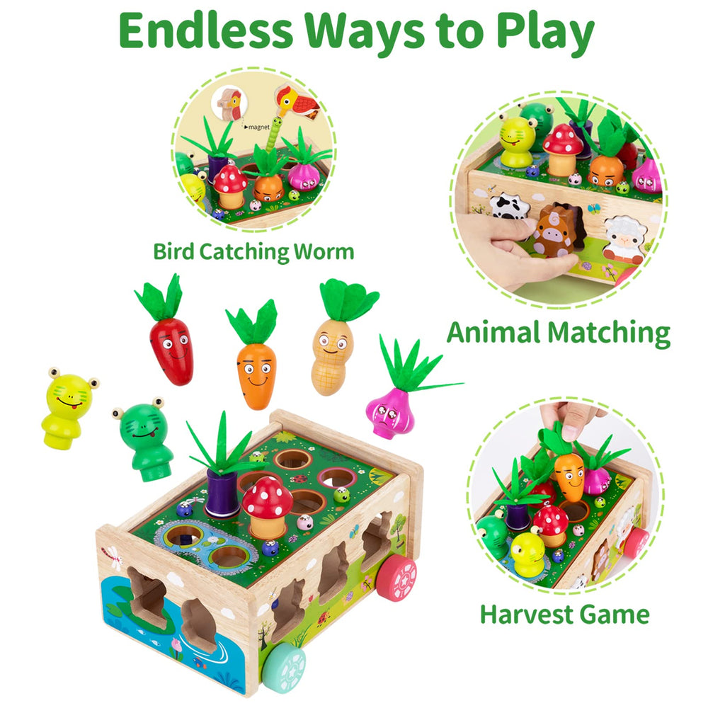 KMTJT safety-focused design with polished edges for worry-free play.