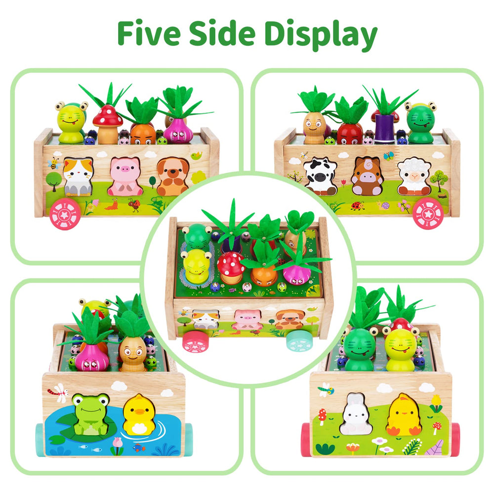 KMTJT wooden animal collection supports sorting and fine motor play.