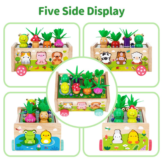 KMTJT wooden animal collection supports sorting and fine motor play.