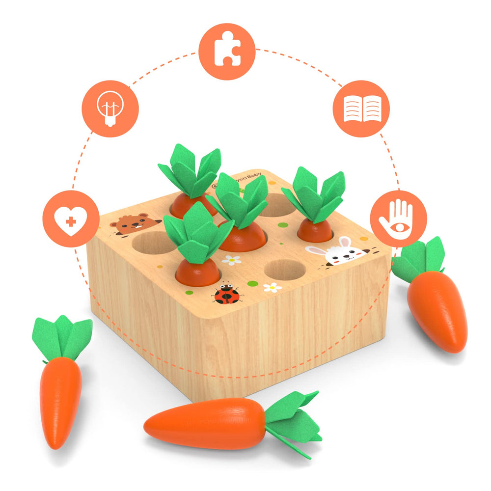 KMTJT wooden carrots matching set for early sorting and recognition