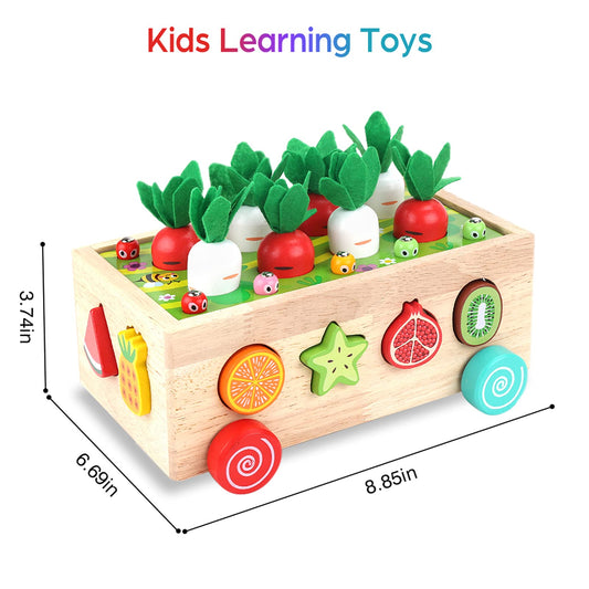 KMTJT wooden fruit blocks in bright colors for recognition