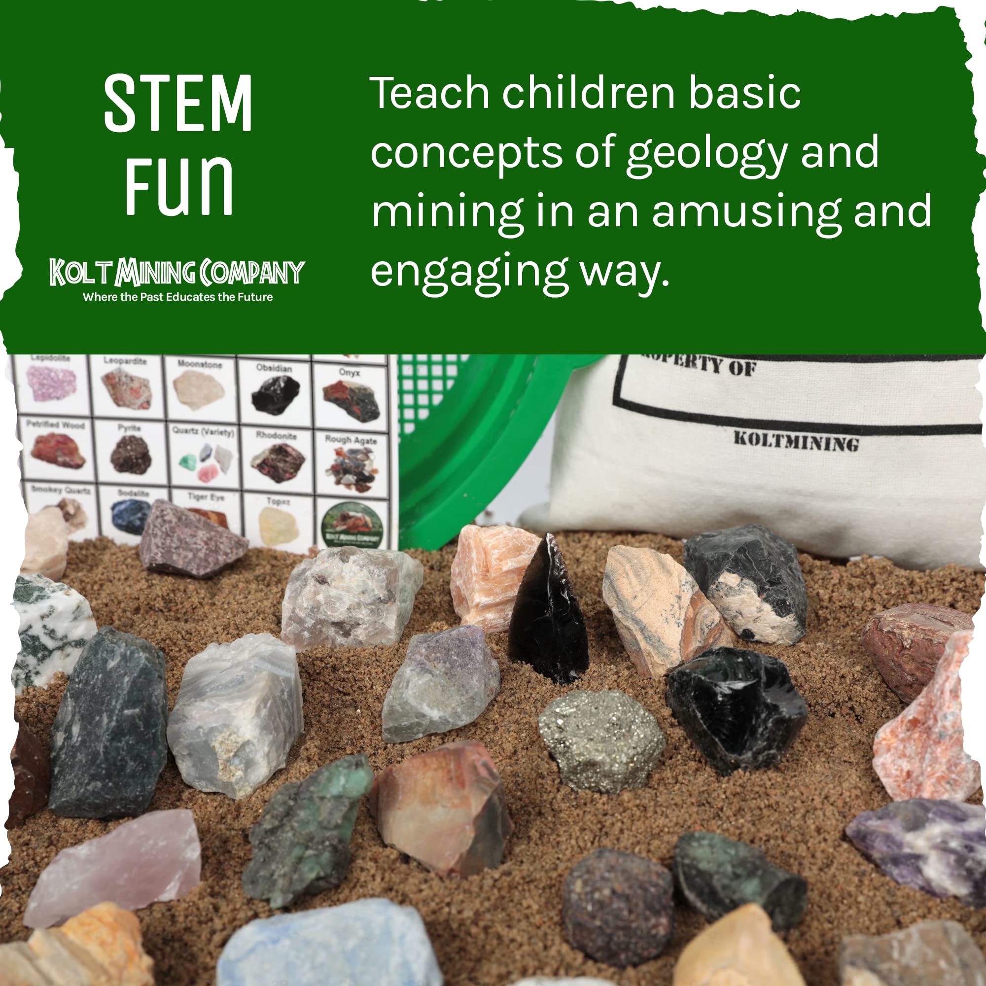 Kolt Mining fossil mix lets kids identify ancient life casts and patterns.