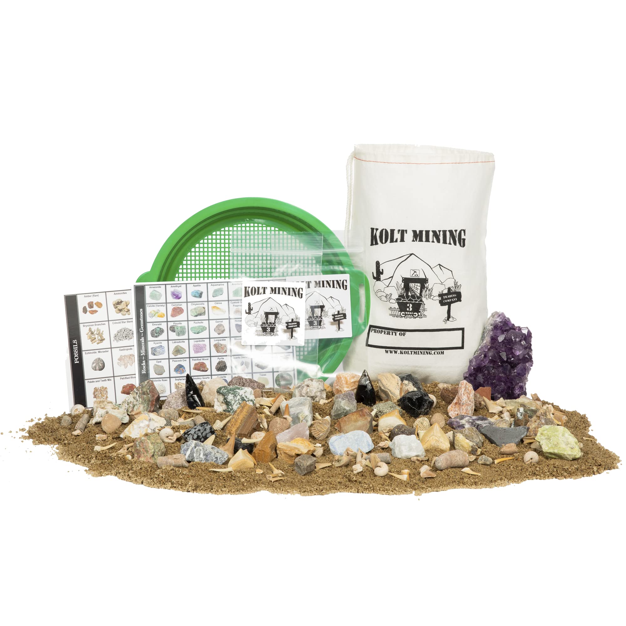 Kolt Mining Mother Lode fossils showcase real specimens for hands-on geology exploration.