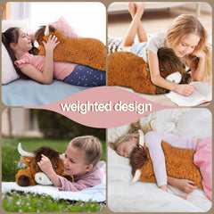 Ksidzas Highland Cow plush in vacuum-sealed packaging ready to fluff.