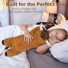 Ksidzas Highland Cow weighted plush offering a steady, comforting hug.