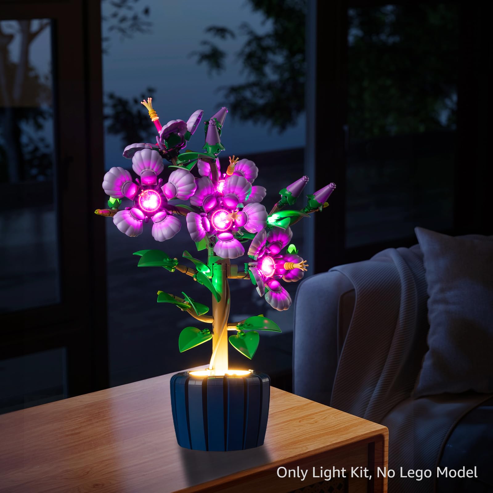 Lighting kit only for 10372; model not included.