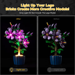Kyglaring USB-powered lights for Lego Hibiscus 10372, flexible placement.