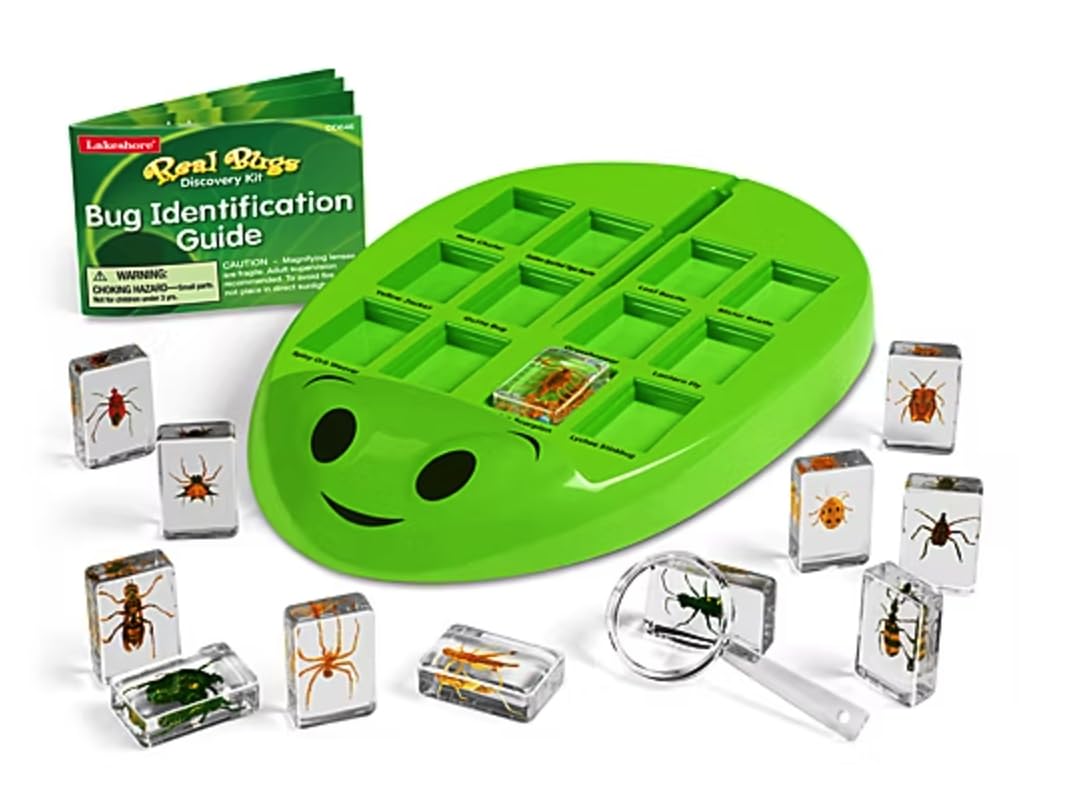 Lakeshore Real Bugs Discovery Kit tray with 12 preserved insects for safe, hands-on learning