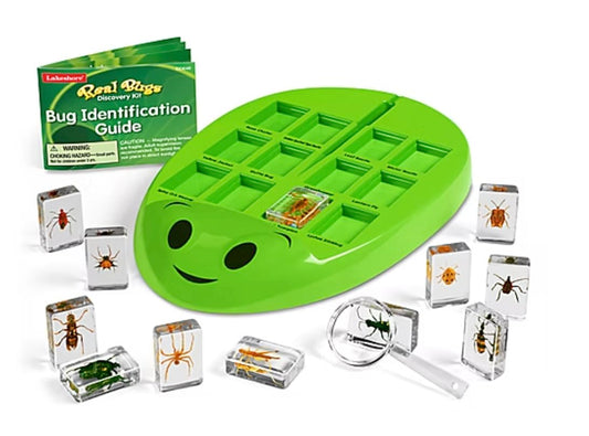 Lakeshore Real Bugs Discovery Kit tray with 12 preserved insects for safe, hands-on learning