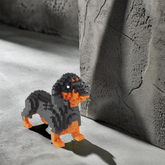 Larcele instruction guide for mini-build tips and patient play