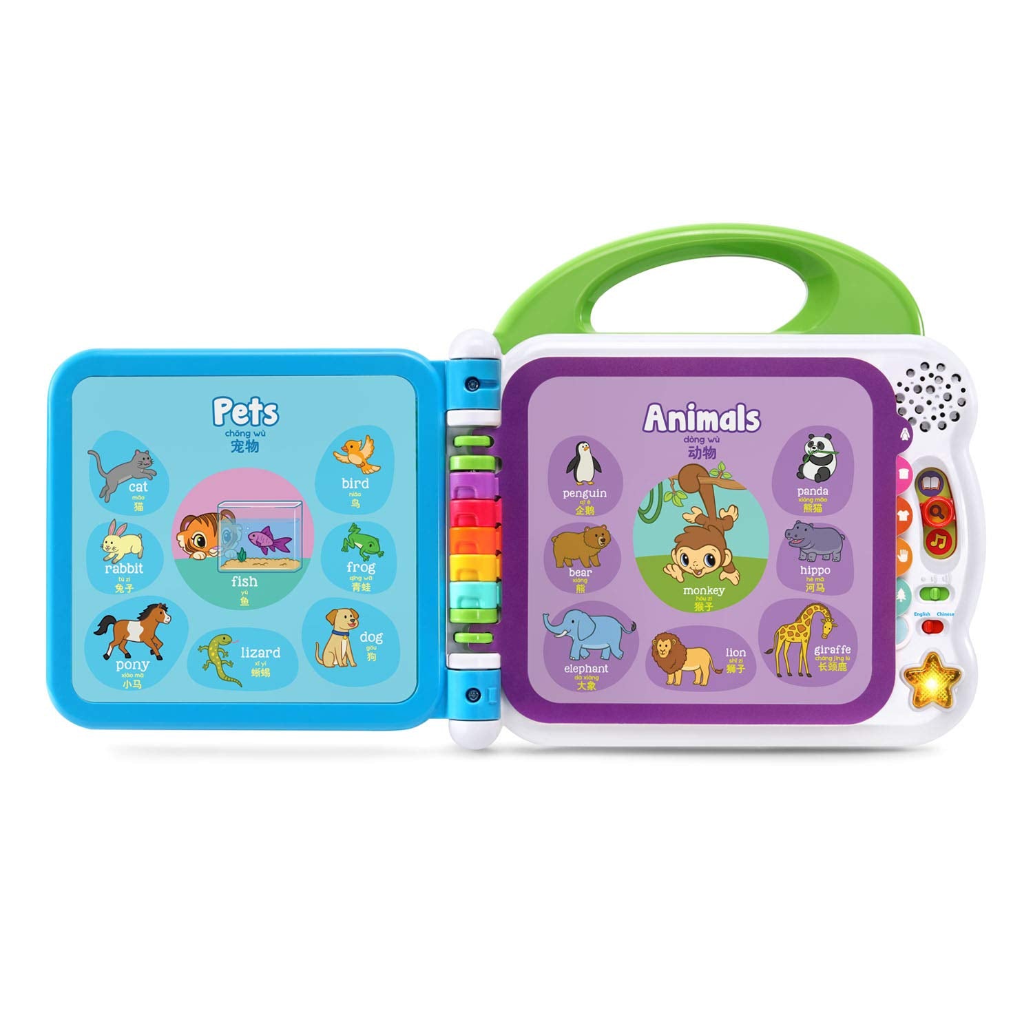 Kids touch word pages to hear words and fun facts from LeapFrog