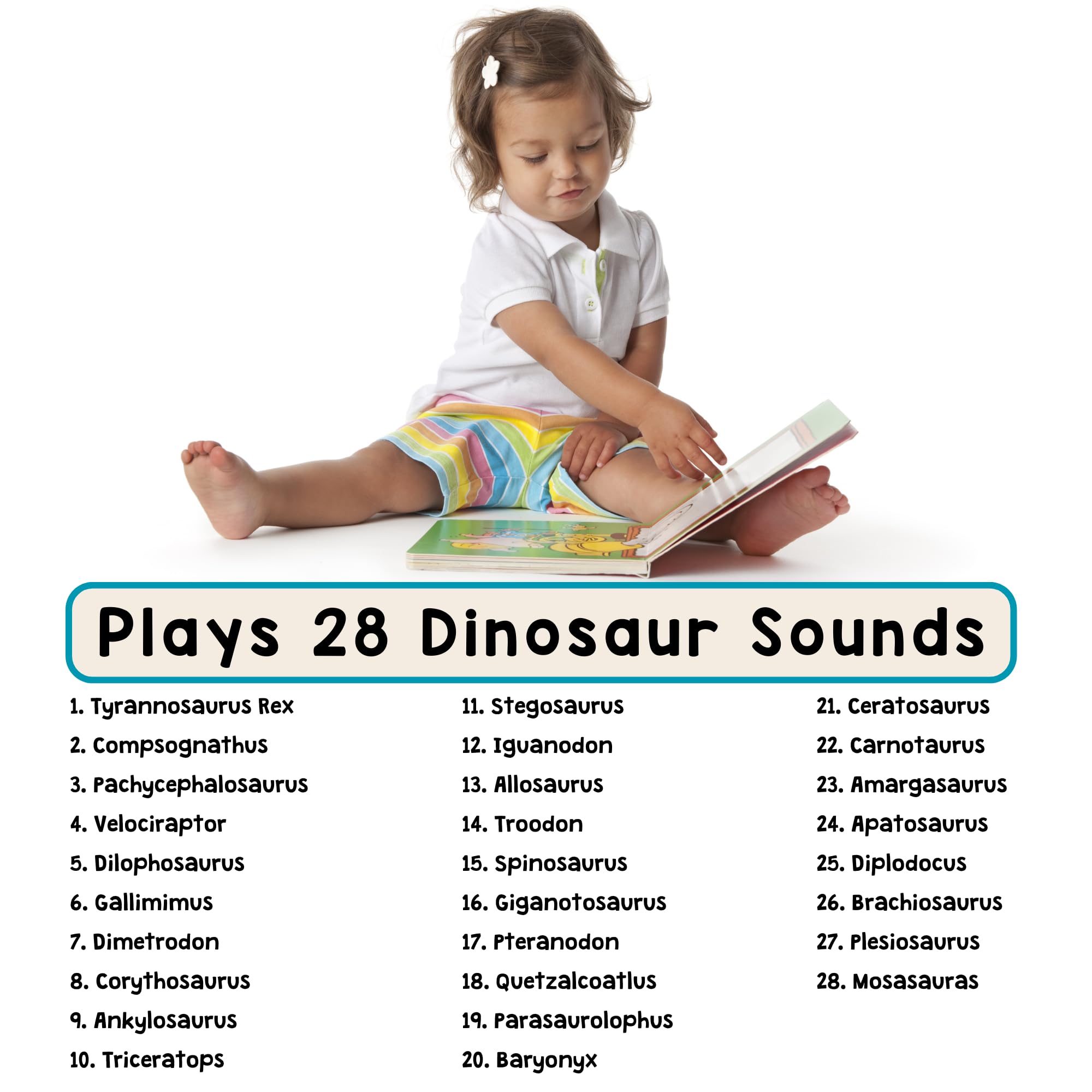 Learning Bugs Dinosaur Sound Book pages showcase sturdy design for frequent exploration.