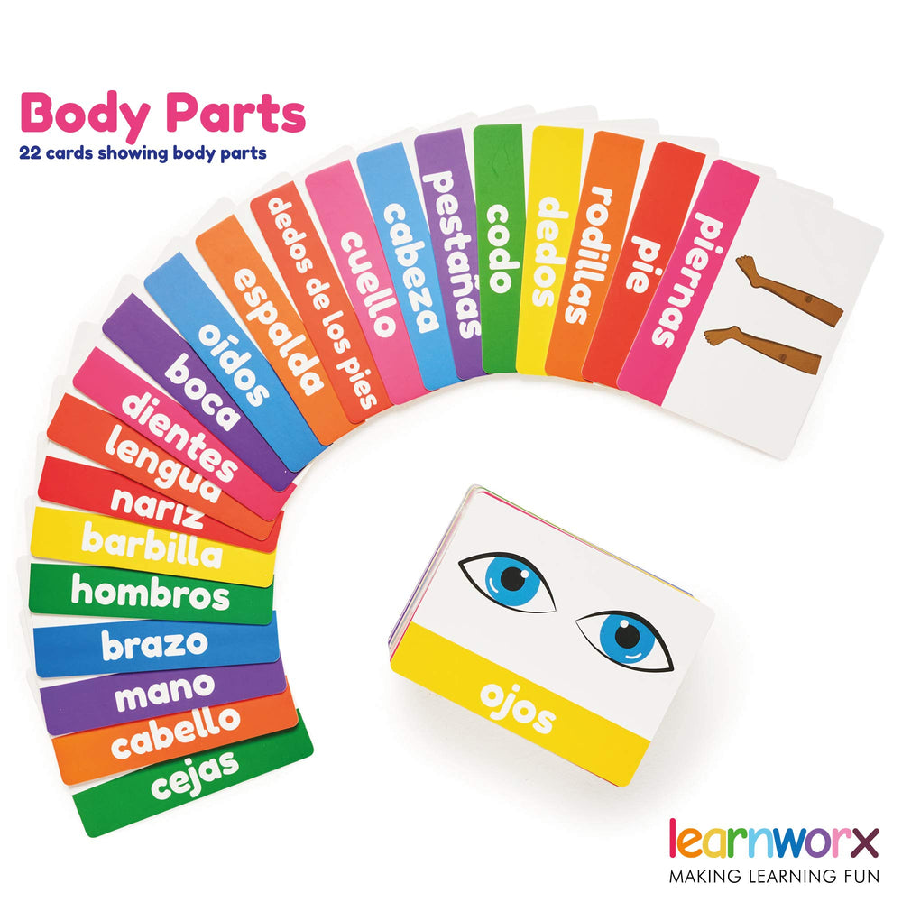 Learnworx Spanish flash cards gift box keeps cards organized and ready to gift
