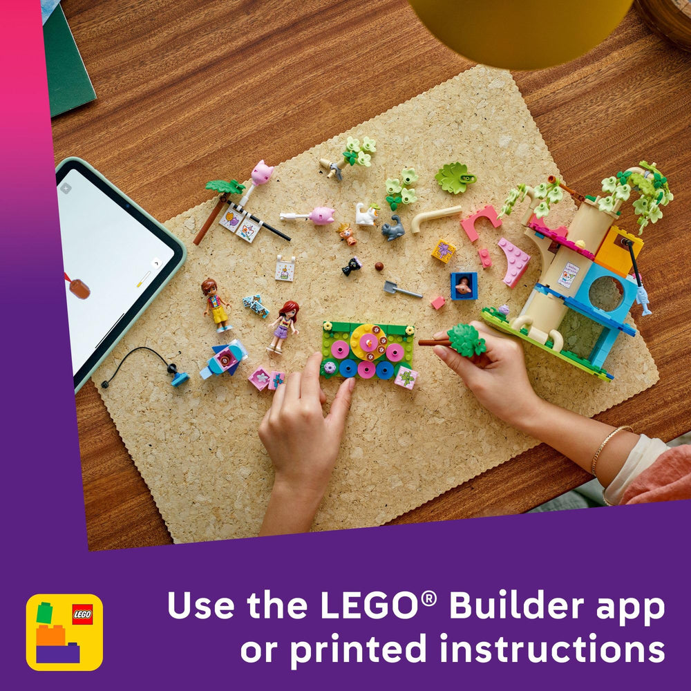 LEGO Friends Cat Birthday Party minidolls Leo and Paisley guide kids building