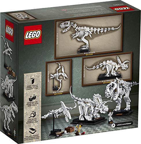 LEGO Ideas 21320 paleontologist minifigure adds role-play to fossils.