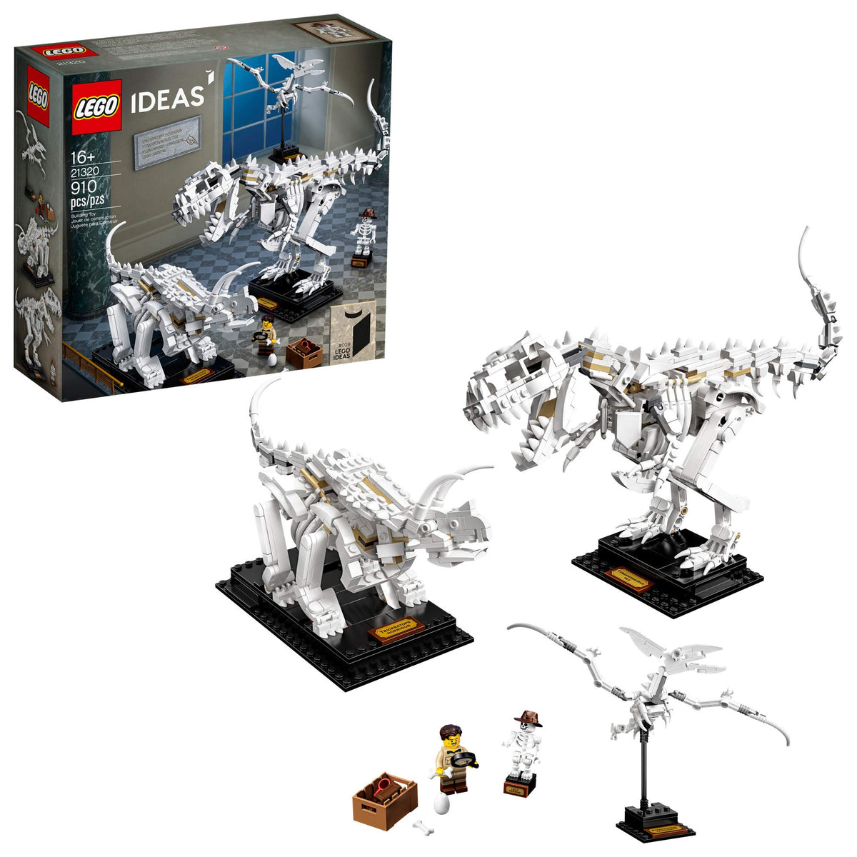 LEGO Ideas 21320 T-Rex skeleton on display stand for a museum-like centerpiece.