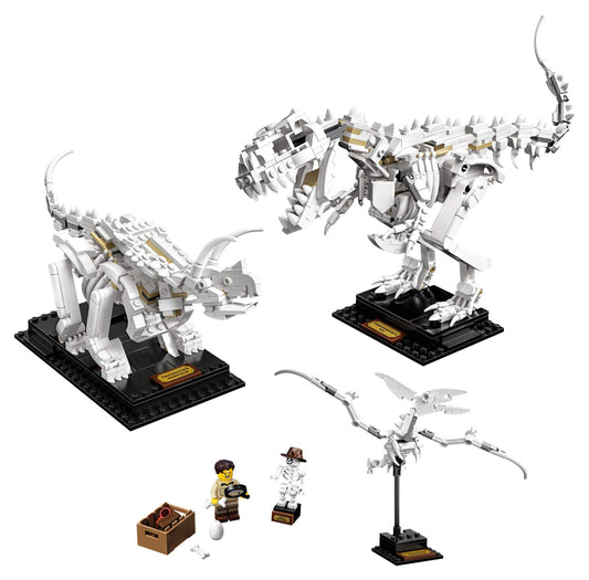 LEGO Ideas 21320 Triceratops skeleton on its stand sparks learning and discussion.