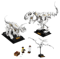LEGO Ideas 21320 Triceratops skeleton on its stand sparks learning and discussion.