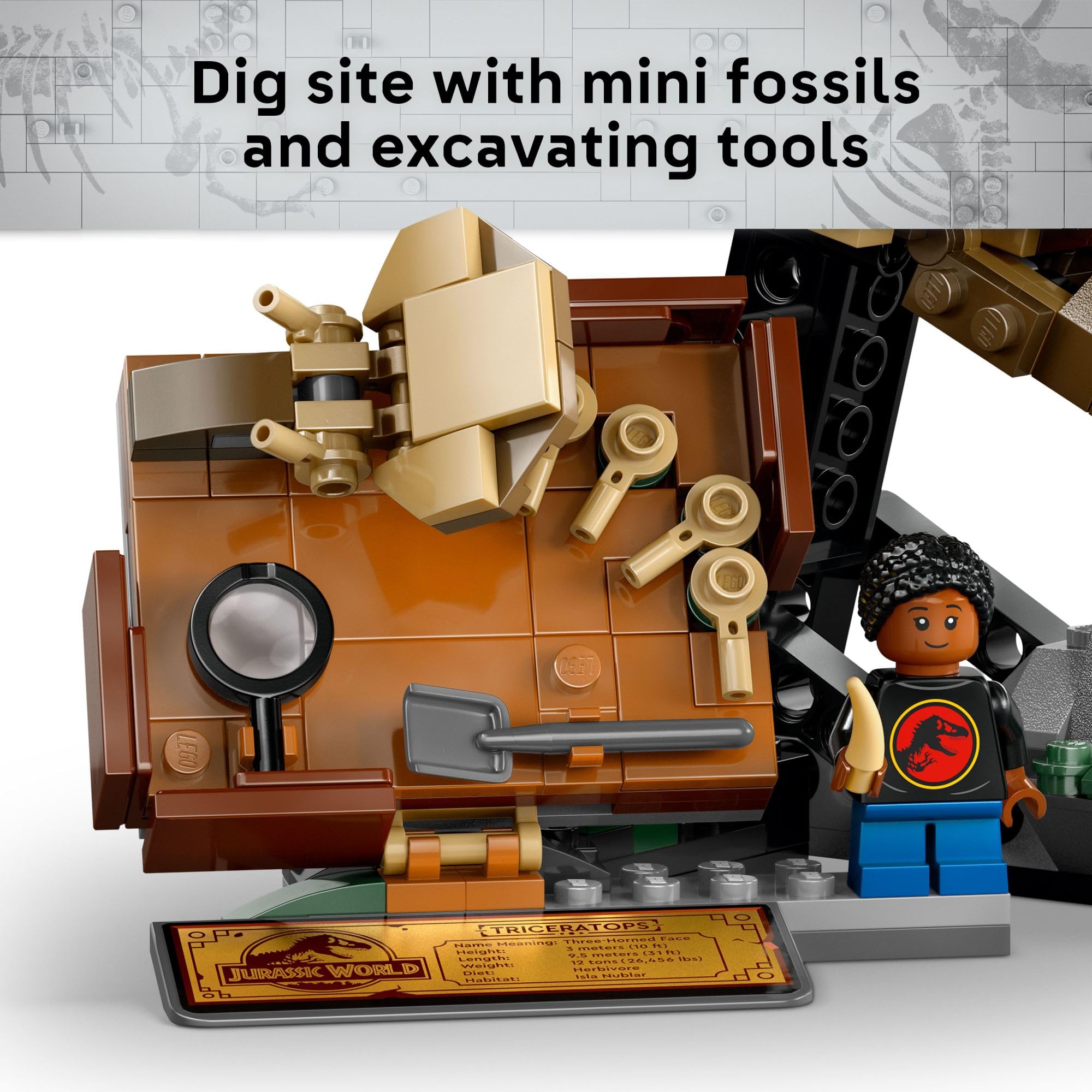 LEGO Jurassic World informational plaque invites learning as kids build.