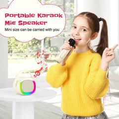 LENRUE karaoke machine supports USB AUX TF playback