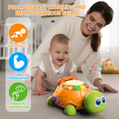 Letapapa musical turtle toy emits varied sounds to stimulate listening skills.