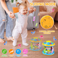Letapapa rolling wheels promote motor skills with music and light.